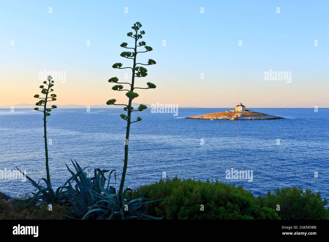Le phare de Pokonji Dol (1872) à l'aube, sur l'île la plus à l'est des îles Paklinski, à 500 mètres au sud de Hvar, en Croatie Banque D'Images Le phare de Pokonji Dol (1872) à l'aube, sur l'île la plus à l'est des îles Paklinski, à 500 mètres au sud de Hvar, en Croatie Banque D'Images