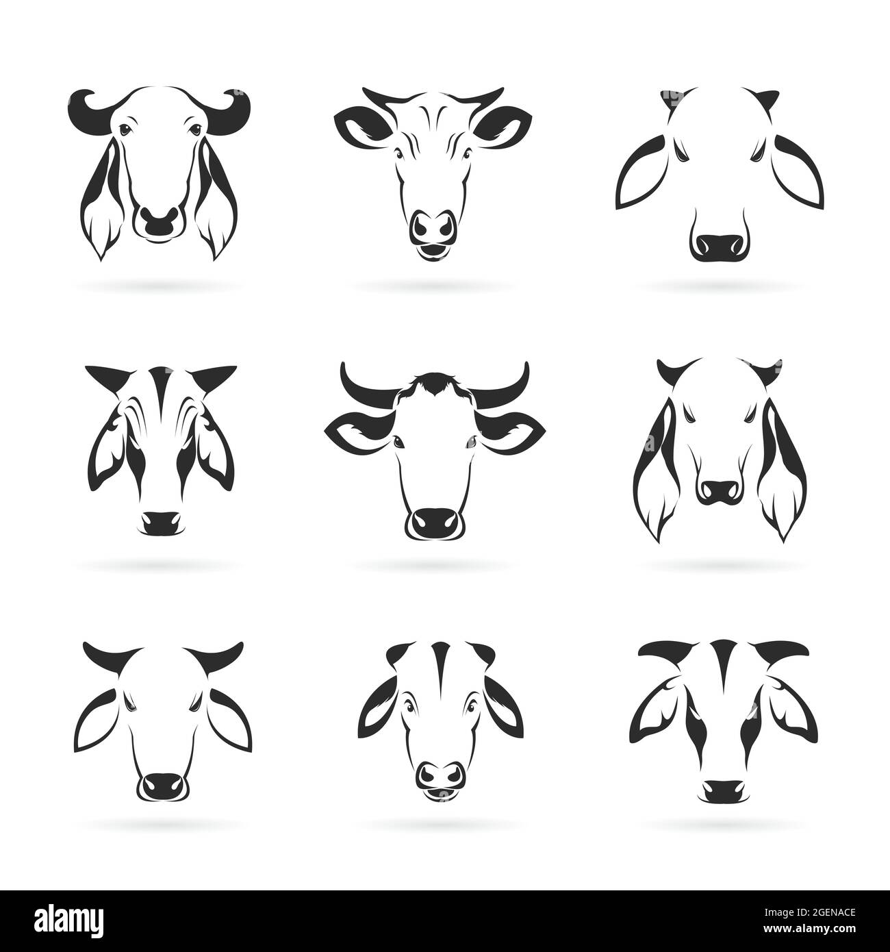 Ensemble vectoriel de tête de vache sur fond blanc. Illustration vectorielle superposée facile à modifier. Animaux sauvages. Animal de ferme. Illustration de Vecteur