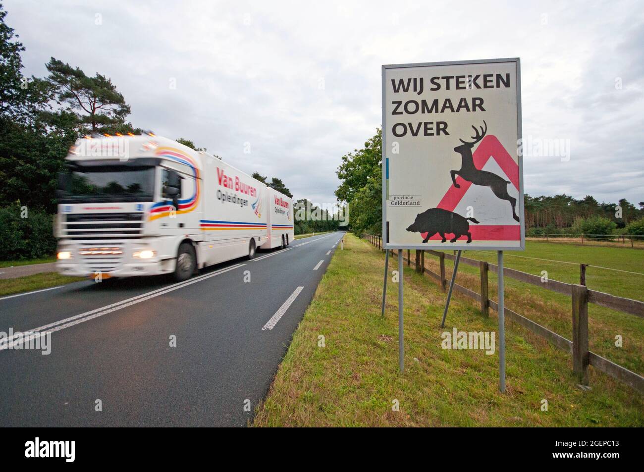 Panneau d'avertissement sur la route pour la traversée de la faune à Gheldria, pays-Bas Banque D'Images