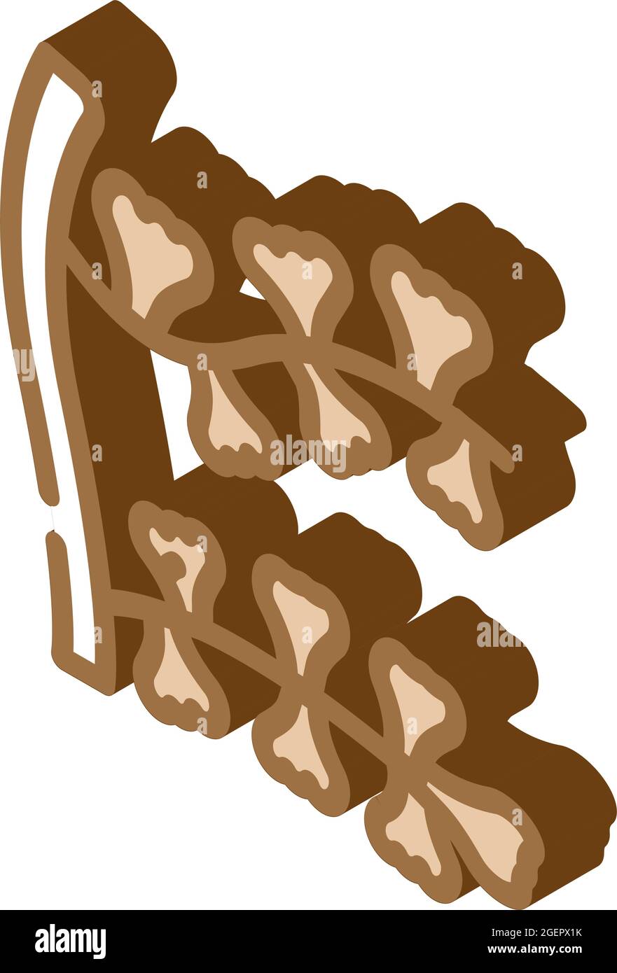illustration vectorielle d'icône isométrique d'algue de sargassum horneri Illustration de Vecteur
