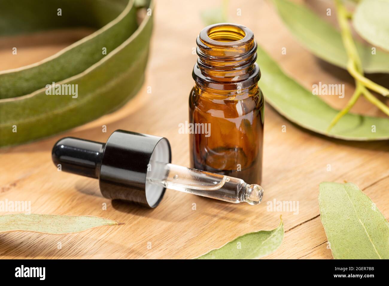 L'huile essentielle d'eucalyptus sur la table en bois encore la vie. Remèdes à base de plantes Banque D'Images