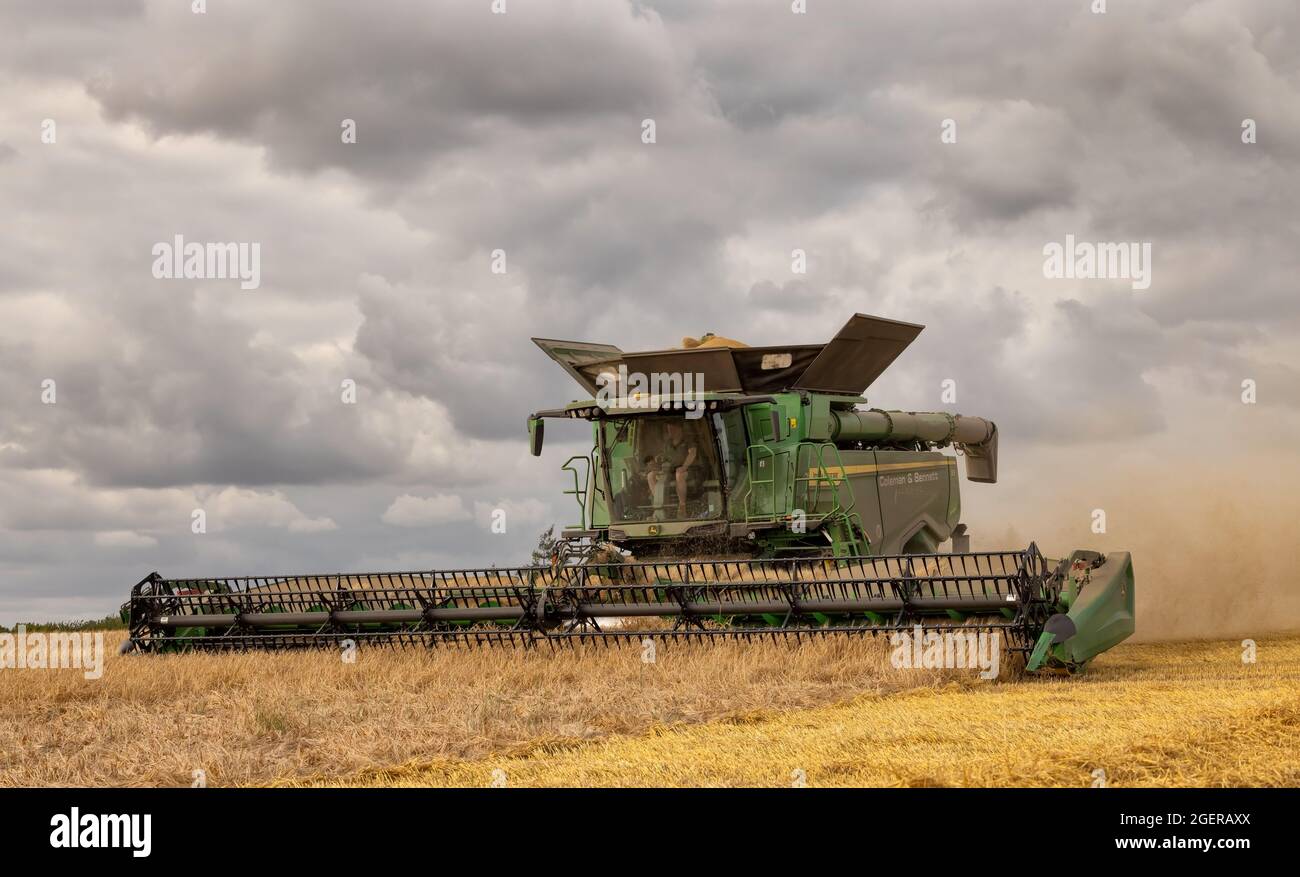 Moissonneuse-batteuse récoltant de l'orge dans un champ. ROYAUME-UNI. Août 2021. Banque D'Images