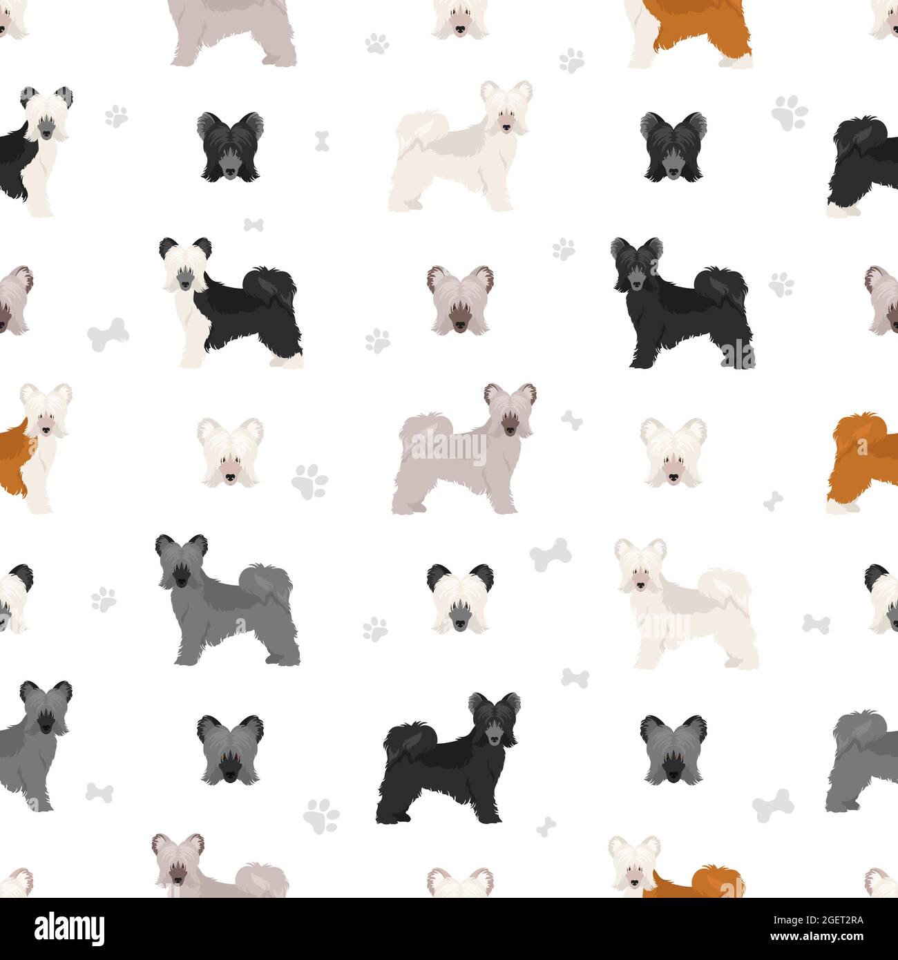 Motif chinois sans coutures avec un chien à crête. Différentes poses, ensemble de couleurs de pelage. Illustration vectorielle Illustration de Vecteur