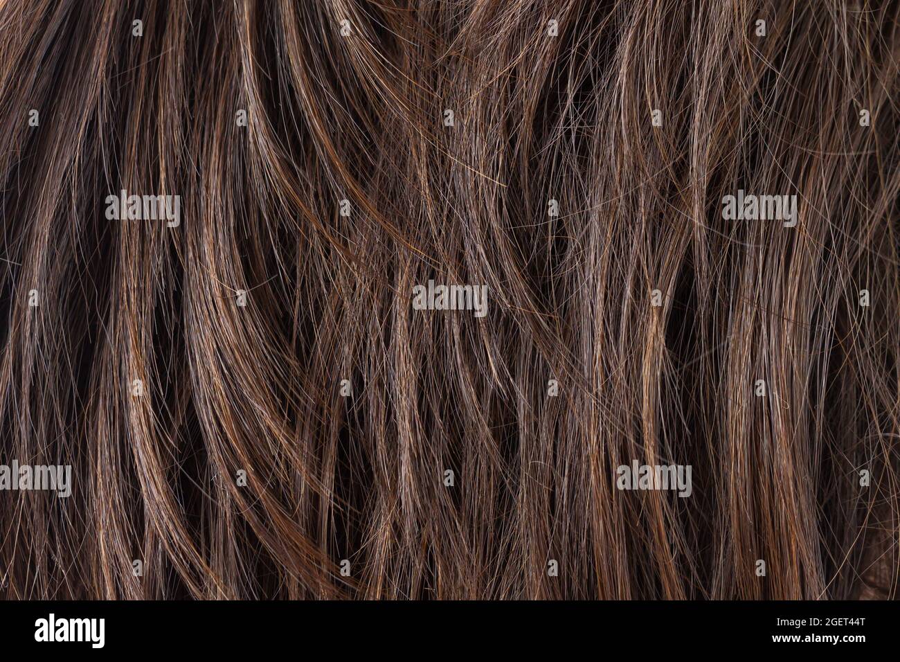 Texture de brunette naturelle foncée cheveux droits. Coupe de cheveux, coiffage, soin ou extension concept Banque D'Images