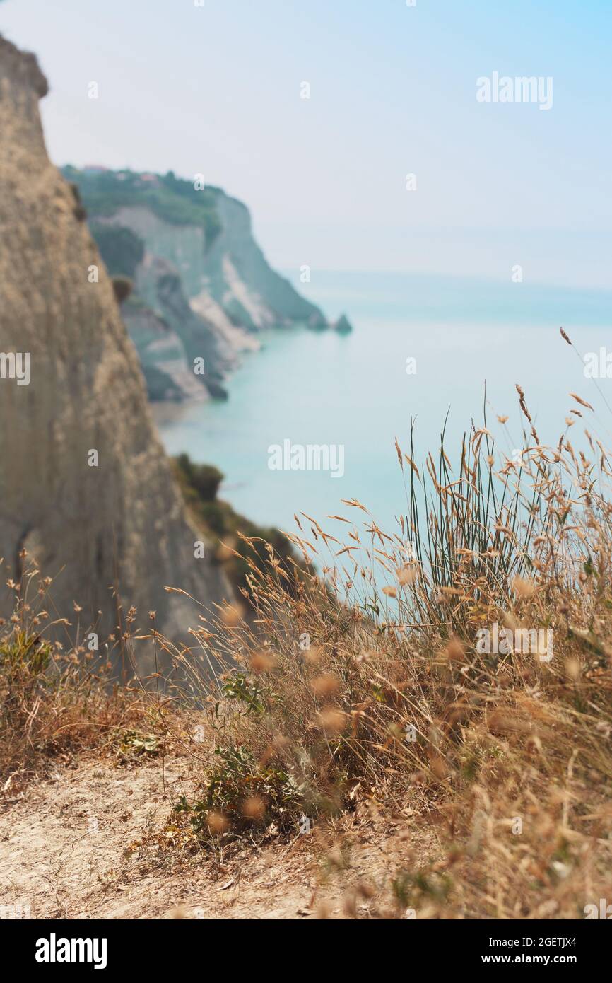 Vue sur les falaises blanches du cap Drastis près du village de Peroulades sur l'île de Corfou en Grèce, les épillets en premier plan Banque D'Images
