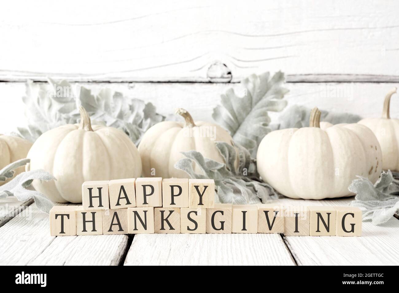 Joyeux Thanksgiving sur des blocs de bois sur fond de bois blanc avec des citrouilles blanches et des feuilles d'automne Banque D'Images