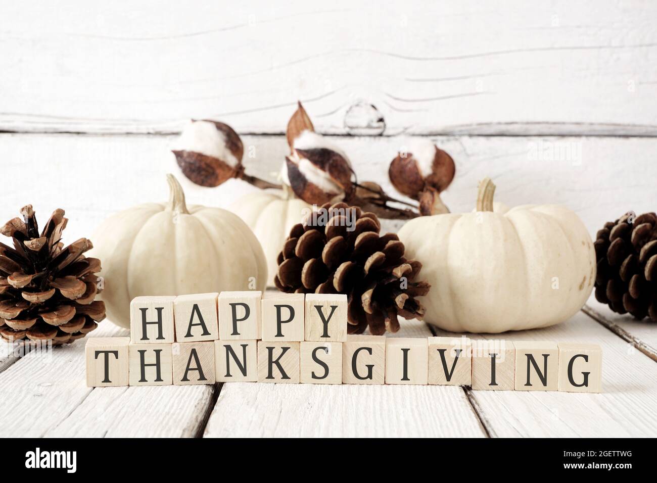 Joyeux Thanksgiving sur des blocs de bois sur fond de bois blanc avec citrouilles blanches et décor d'automne brun Banque D'Images