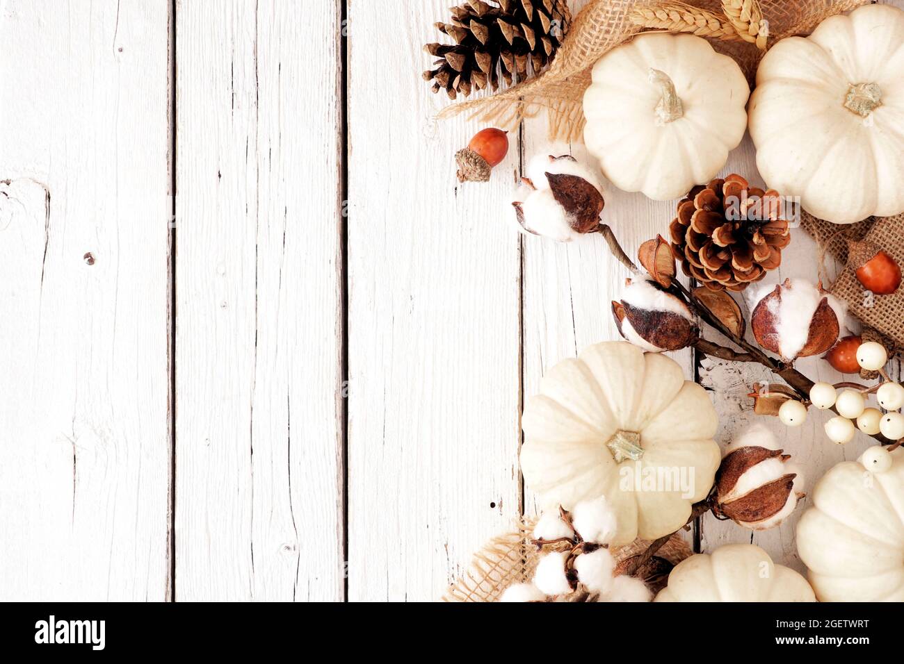 Bordure automnale de citrouilles blanches et décor automnal brun. Vue en hauteur sur un arrière-plan en bois blanc avec espace de copie. Banque D'Images