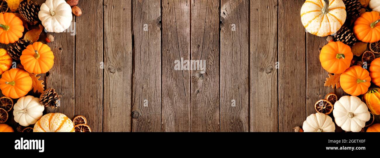 Double bordure d'automne de citrouilles et décoration naturelle d'automne. Vue en hauteur sur un arrière-plan rustique en bois sombre avec espace pour les copies. Banque D'Images