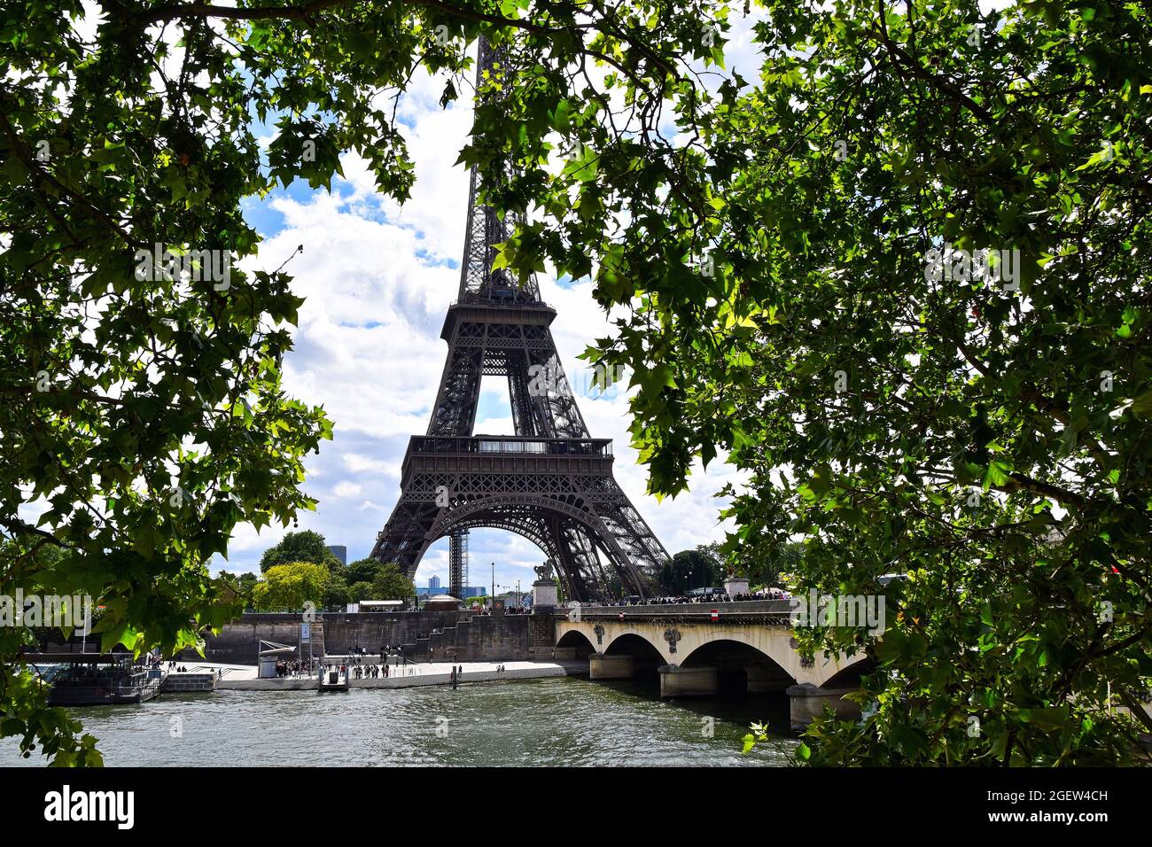 La vue de la Tour Eiffel à travers les arbres, Paris, France, Europe Banque D'Images