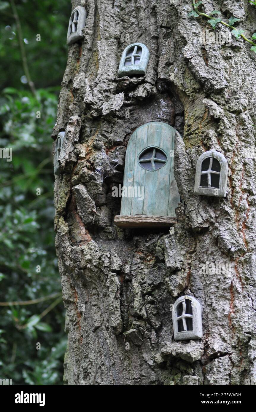 Maison de fées dans un arbre.Il y a plusieurs fenêtres et une porte sur l'arbre.La texture du tronc semble rugueuse Banque D'Images