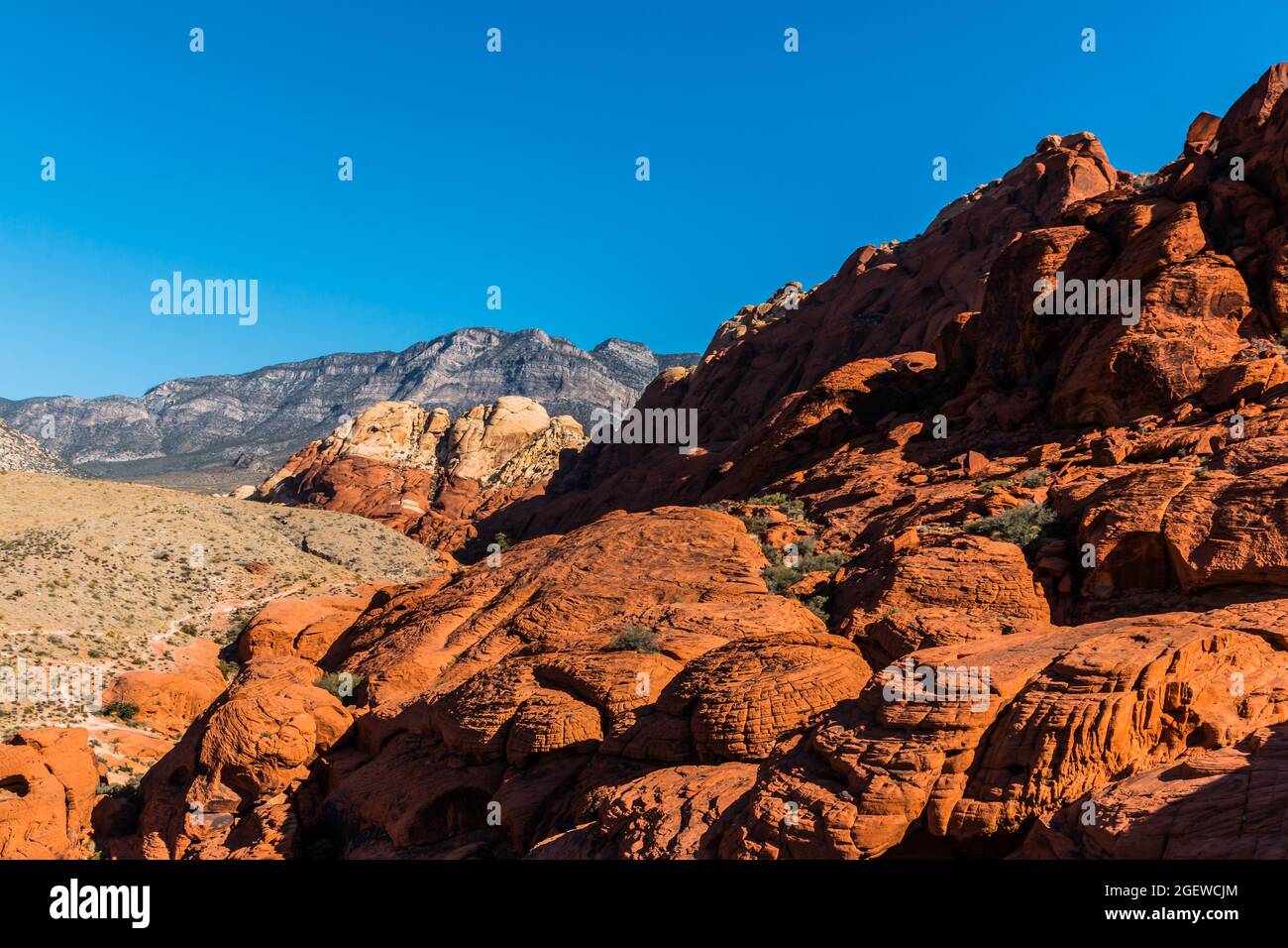 Le grès aztèque des Calico Hills avec Turtlehead Peak au loin, Red Rock Canyon NCA, Las Vegas, États-Unis Banque D'Images