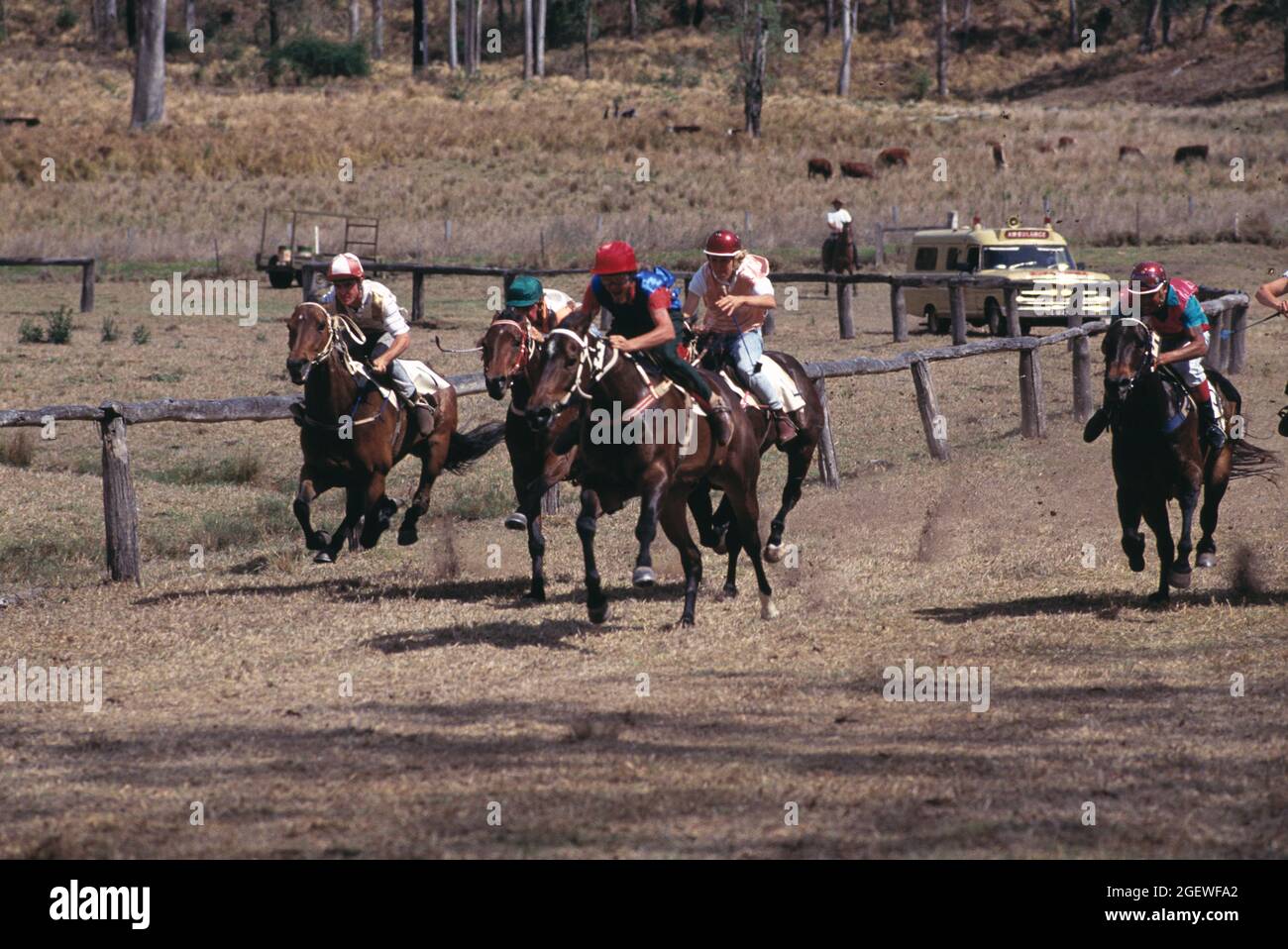 Australie. Queensland. Sunshine Coast. Courses de pique-nique à Conondale. Banque D'Images