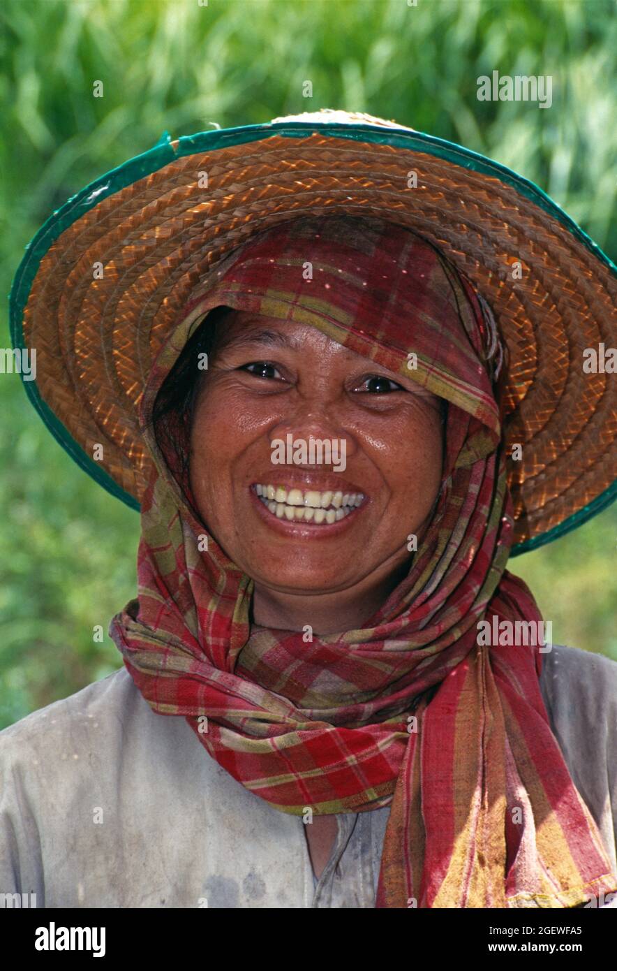 Thaïlande. Chiang Rai. À l'extérieur, près d'une femme cultivateur de riz. Banque D'Images