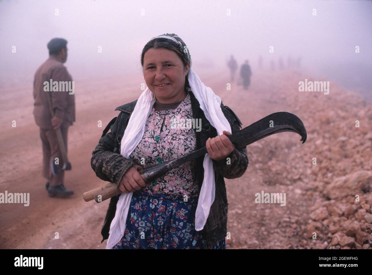 Turquie. Région rurale du sud-ouest. Femme locale de la route tenant scythe. Banque D'Images