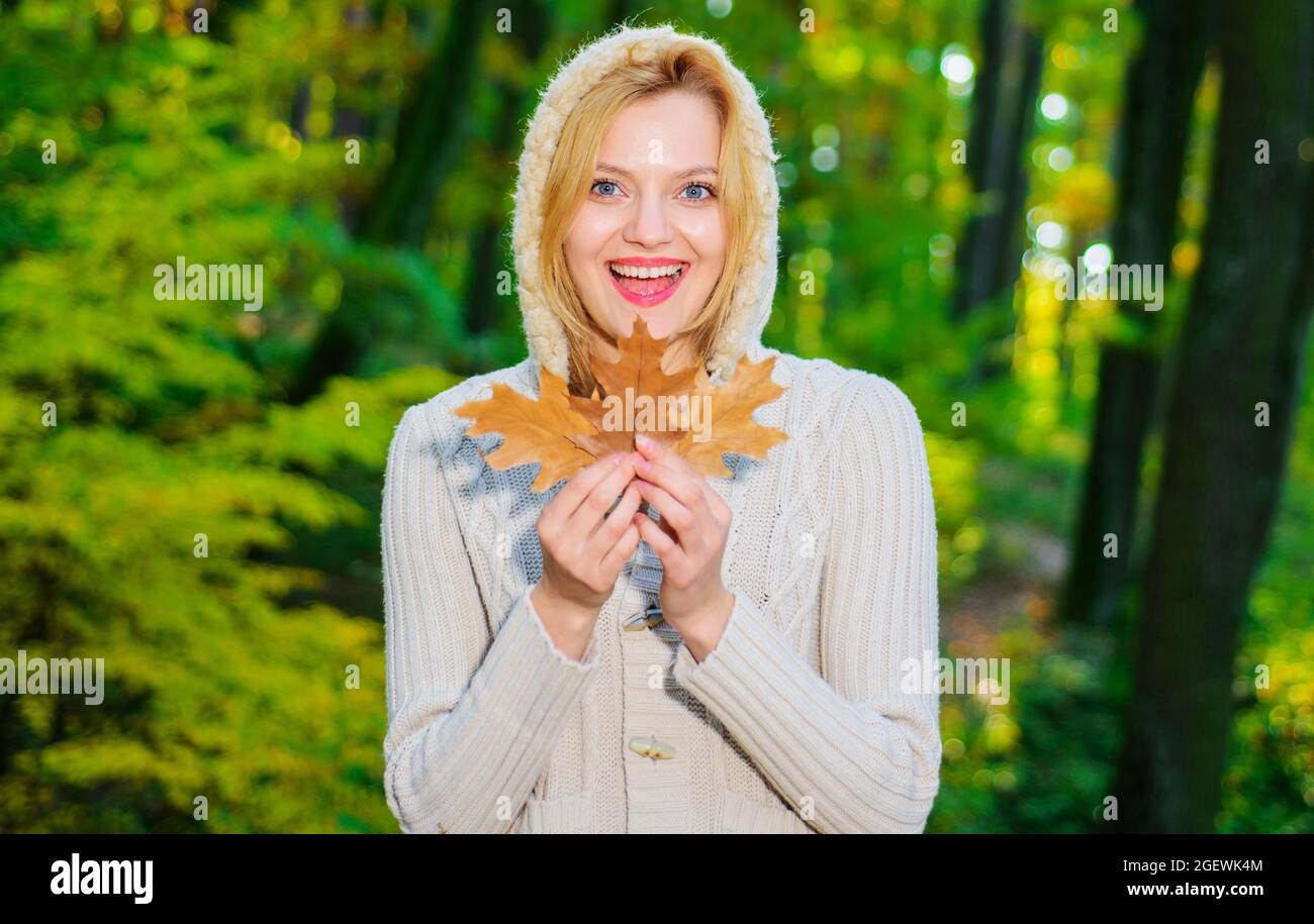 Belle femme d'automne. Fille souriante avec des feuilles jaunes. Bonne femme dans le parc à Sunny Day. Banque D'Images