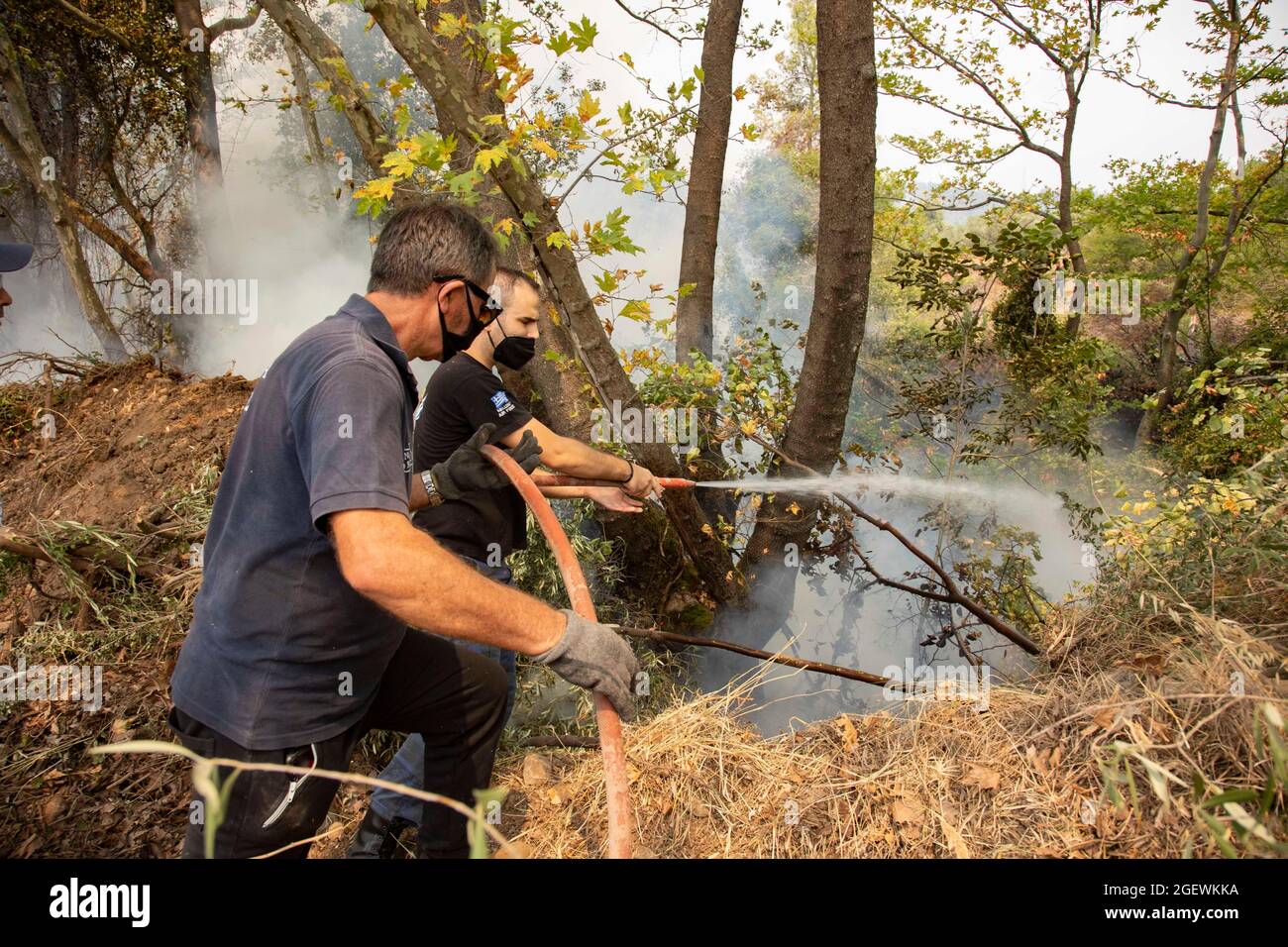 Kehries, île d'Evia, Grèce. 5 août 2021. Des volontaires sont vus éteindre l'incendie.incendie près du village de Kehries dans l'île d'Evia en Grèce tandis que les pompiers, les locaux et les volontaires tentent de combattre les feux de forêt, qui se sont produits dans la partie nord de l'île grecque d'Evia (Euboea) où l'incendie a continué à brûler presque pendant 10 jours, la forêt et les bâtiments. Près de 100,000 hectares de forêt ont brûlé dans des incendies grecs selon les services européens d'urgence de Copernic. (Image de crédit : © Nik Oiko/SOPA Images via ZUMA Press Wire) Banque D'Images