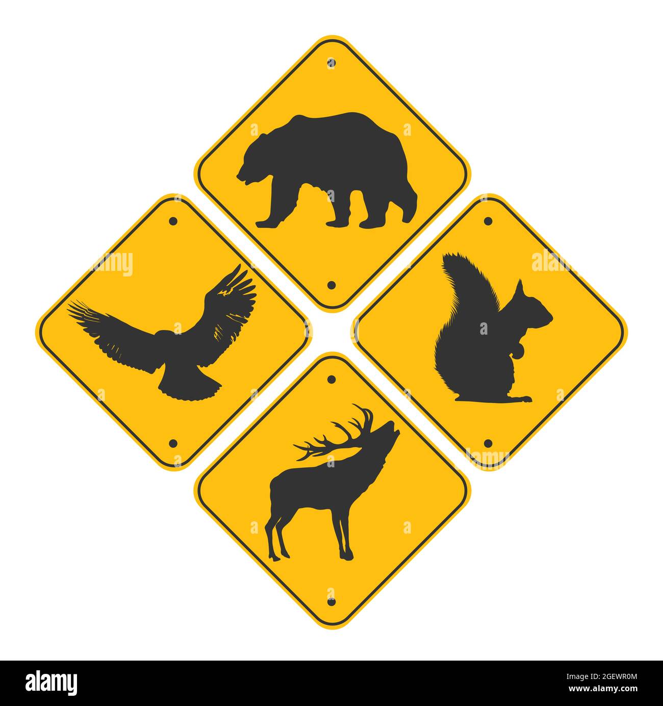 Panneaux routiers ensemble d'animaux . Couleur noire Ours, aigle, cerf et écureuil. Illustration de Vecteur