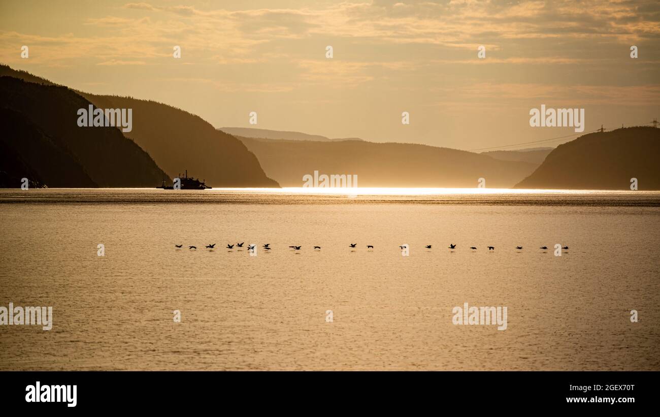 Tadoussac, Canada - juillet 23 2021 : vue imprenable sur le coucher du soleil dans l'estuaire de la rivière Saguenay près de Tadoussac Banque D'Images