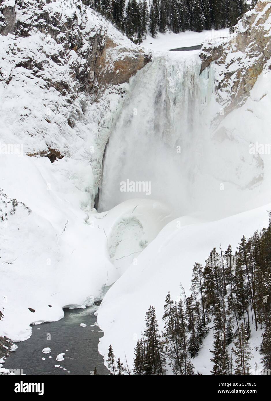 Lower Falls of the Yellowstone ; Date : 3 février 2015 Banque D'Images