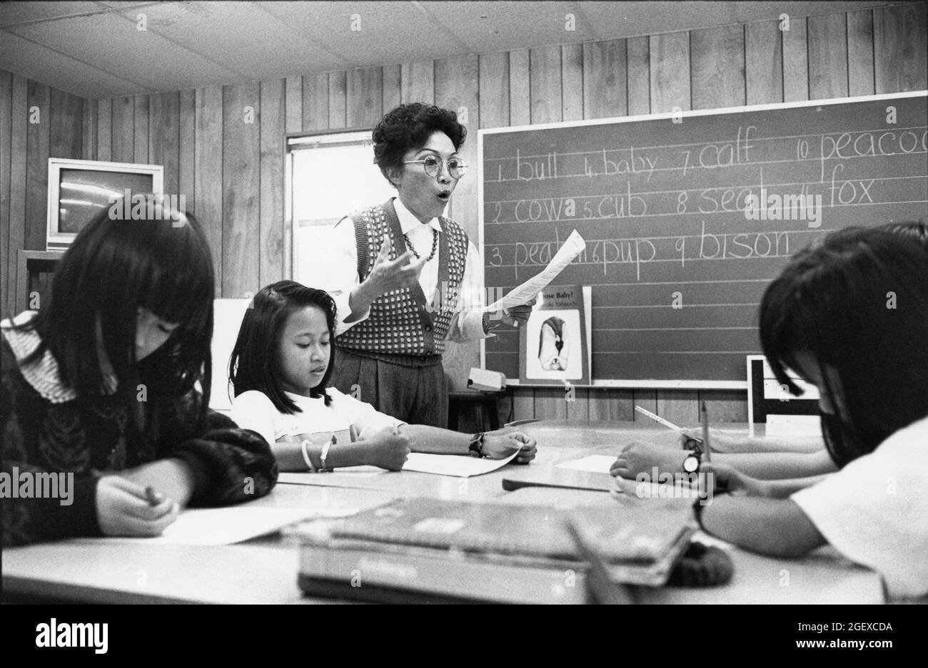 Austin Texas USA, vers 1993: Enseignante vietnamienne-américaine avec des étudiants vietnamiens-américains de 2e à 5e années en cours d'anglais langue seconde (ESL) à l'école élémentaire de Walnut Creek. ©Bob Daemmrich Banque D'Images