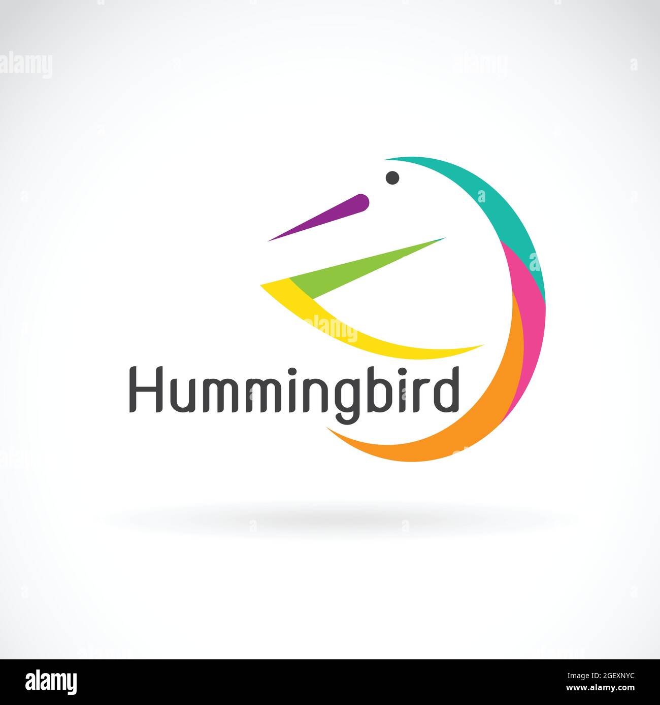 Motif oiseau bourdonnant sur fond blanc, logo oiseau. Illustration vectorielle superposée facile à modifier. Animaux sauvages. Illustration de Vecteur