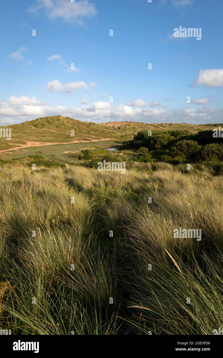 Dunes de sable de Braunton Burrows Banque D'Images