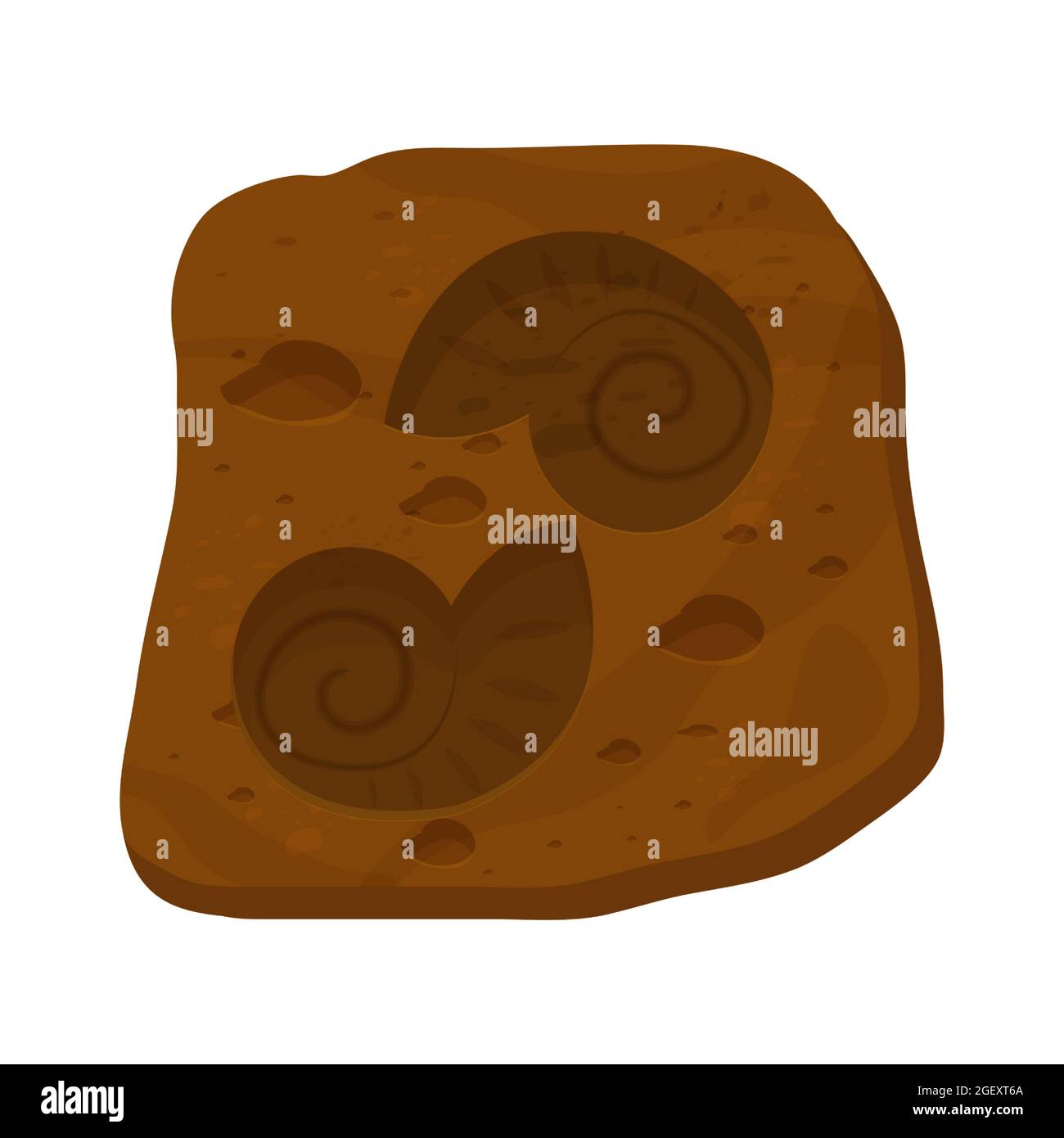 Écaille d'Amonite fossile, créature préhistorique de style caricature isolée sur fond blanc. Escargot en spirale scientifique. . Illustration vectorielle Illustration de Vecteur