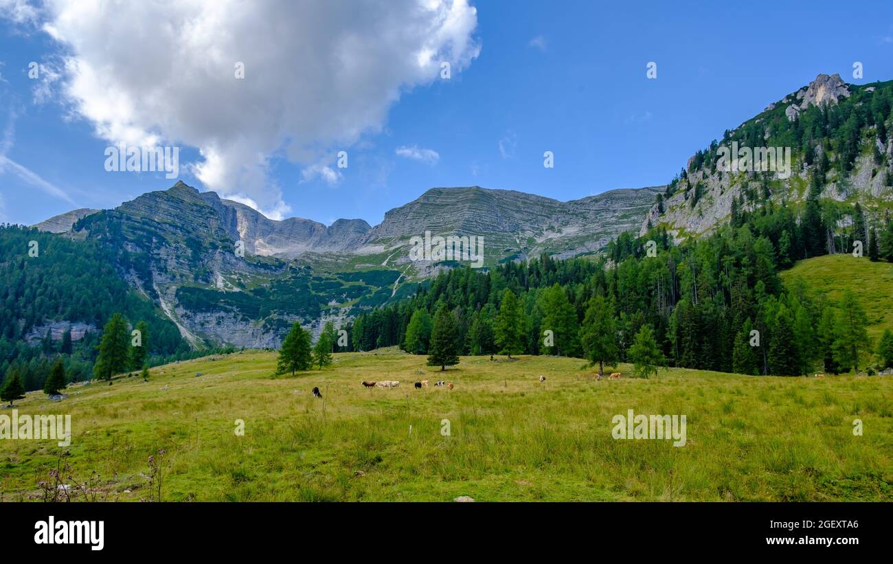 paysage de montagne dans la région autrichienne supérieure wurzeralm Banque D'Images