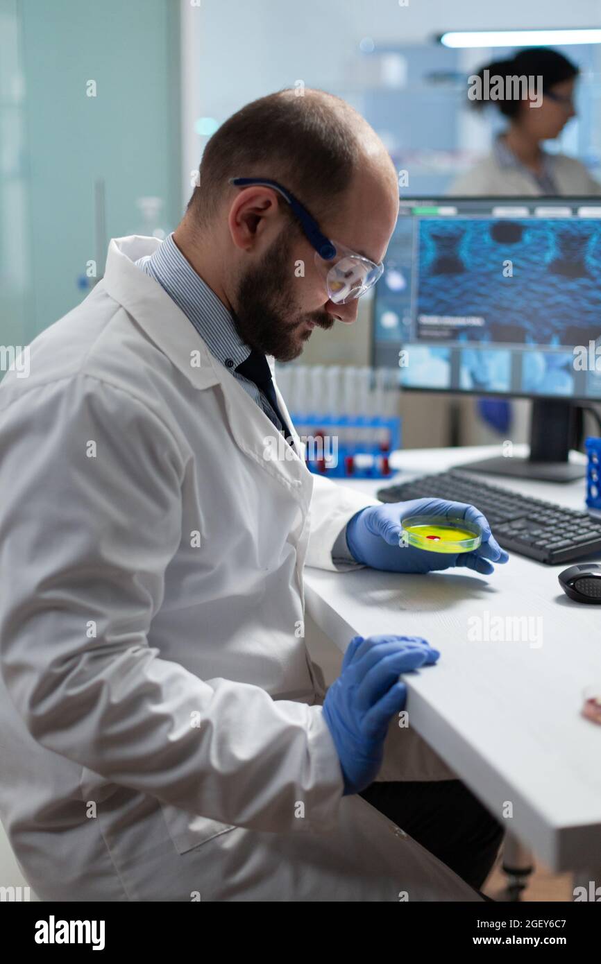 Biologiste tenant une boîte de Petri médicale avec échantillon de bactéries dans l'informatique travaillant à l'expertise en microbiologie dans un laboratoire hospitalier de microbiologie. Chimiste chercheur analysant l'organisme liquide Banque D'Images
