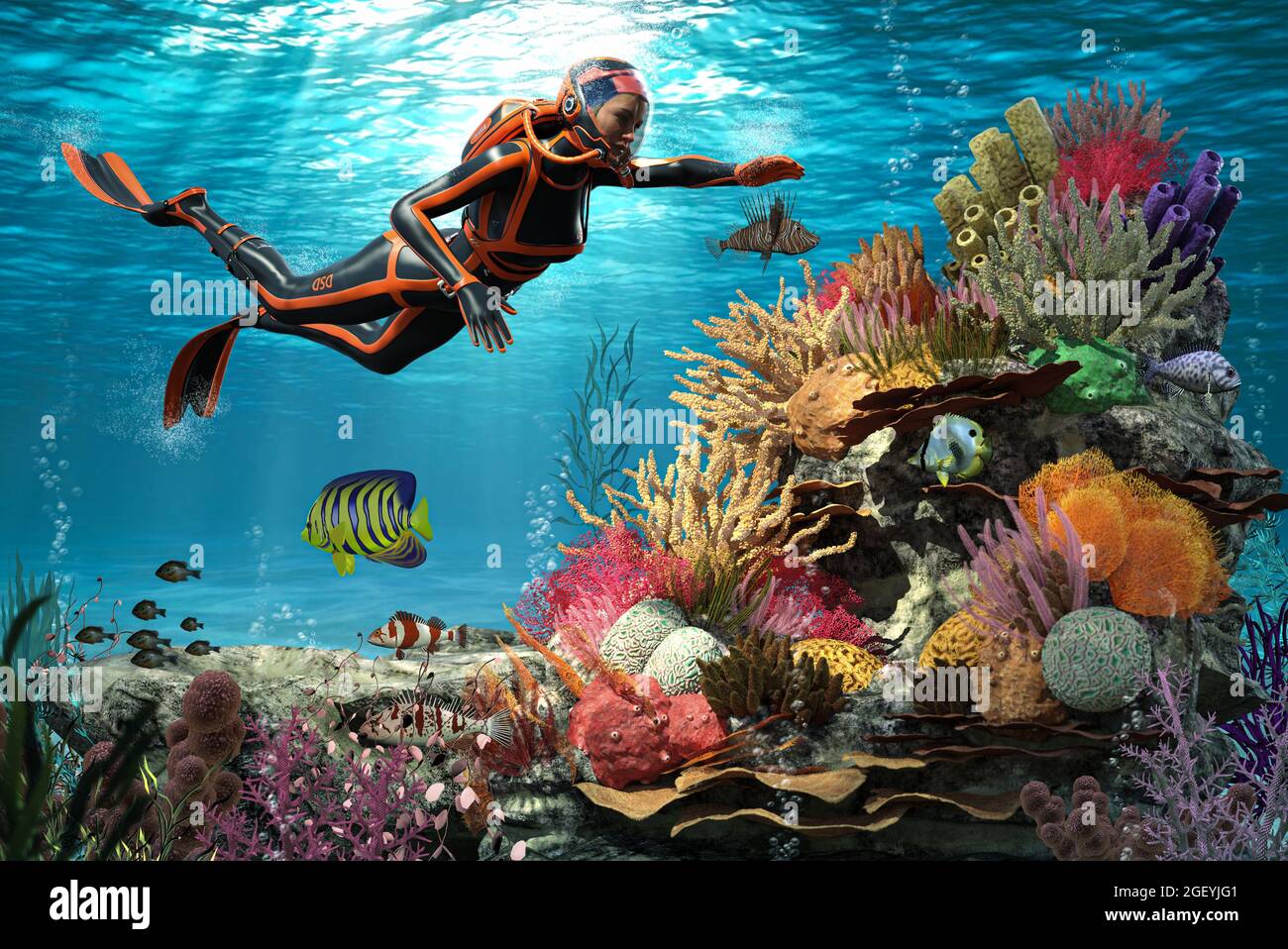 Vue sous-marine d'une femelle plongée sous-marine regardant le grand récif  de corail multicolore et de la grande barrière de corail, Australie, rendu  3d Photo Stock - Alamy