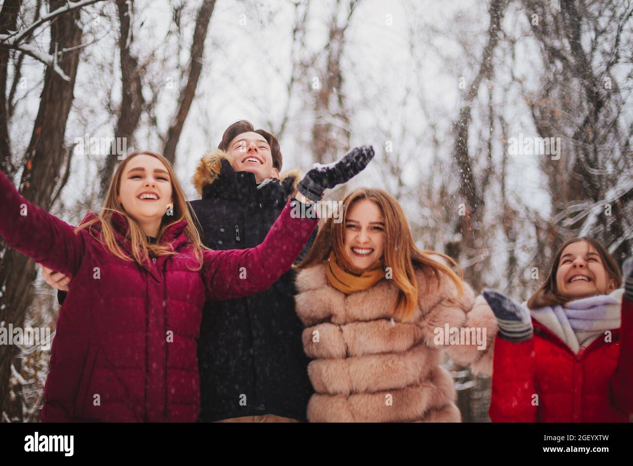 Groupe de quatre meilleurs amis joyeux qui profitent du temps froid et de la première neige en plein air sur des arbres couverts de neige, levant les mains et essayant d'attraper Banque D'Images