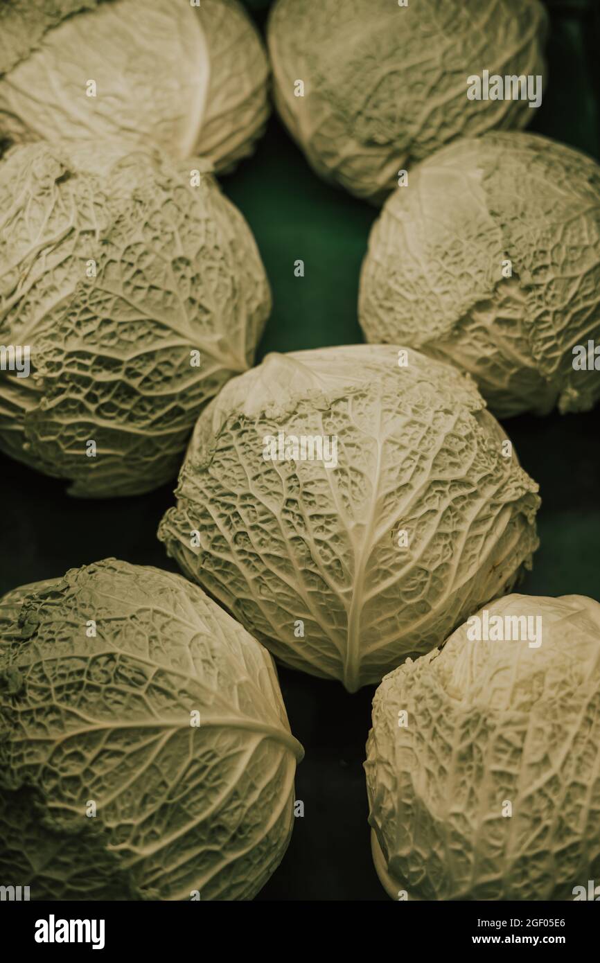 Groupe de kale sur un panier commercial Banque D'Images