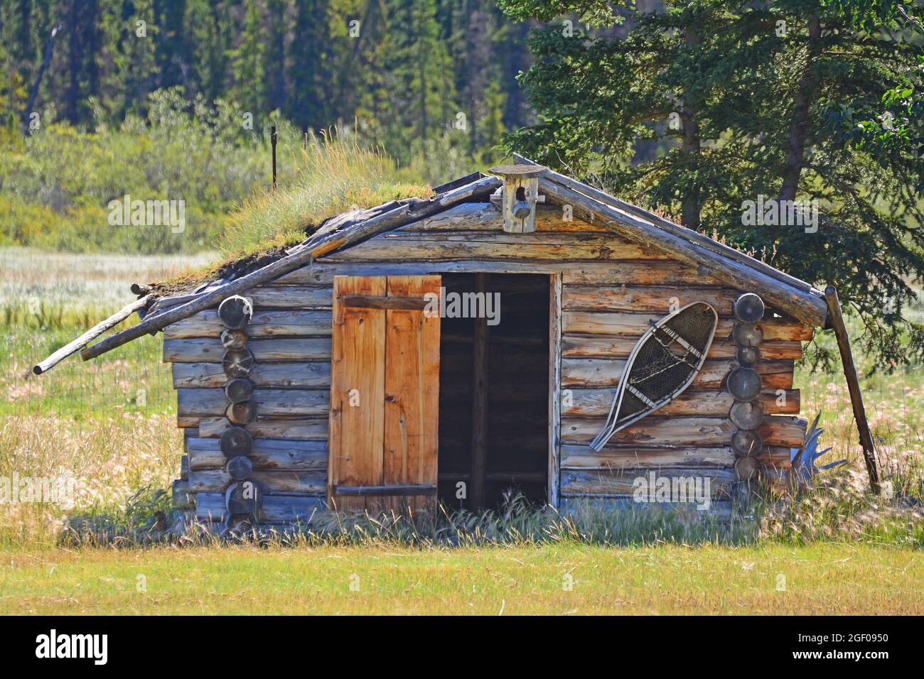 Chalet de chasseurs au Yukon Banque D'Images