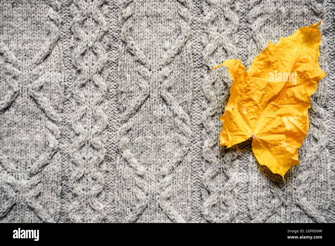 feuille d'érable sèche jaune d'automne sur fond de pull tricoté gris confortable. concept d'automne Banque D'Images