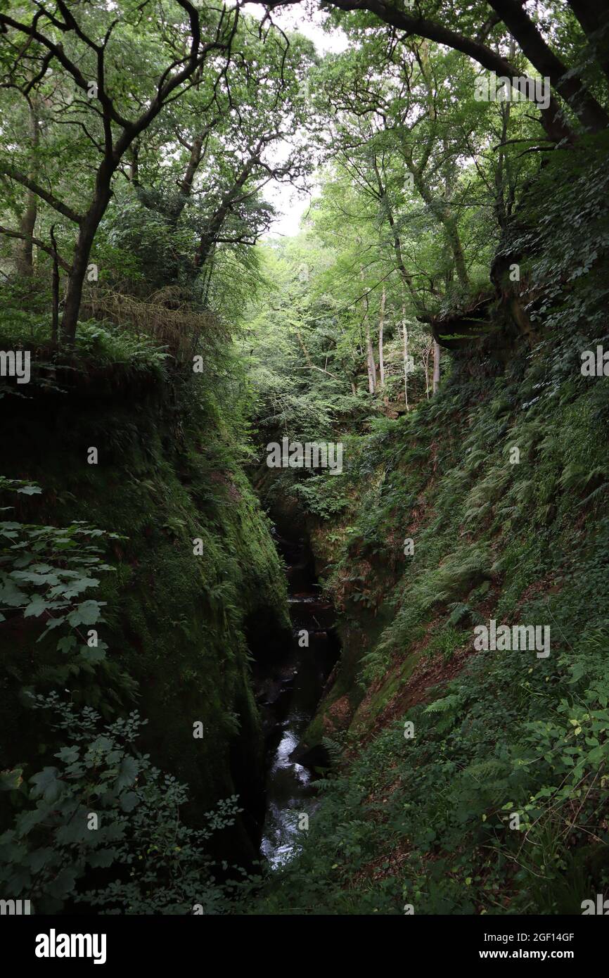 Finnich glen, Écosse Banque D'Images