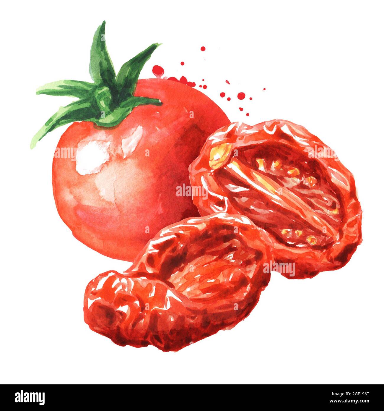 Tomates séchées et fraîches. Illustration aquarelle dessinée à la main, isolée sur fond blanc Banque D'Images