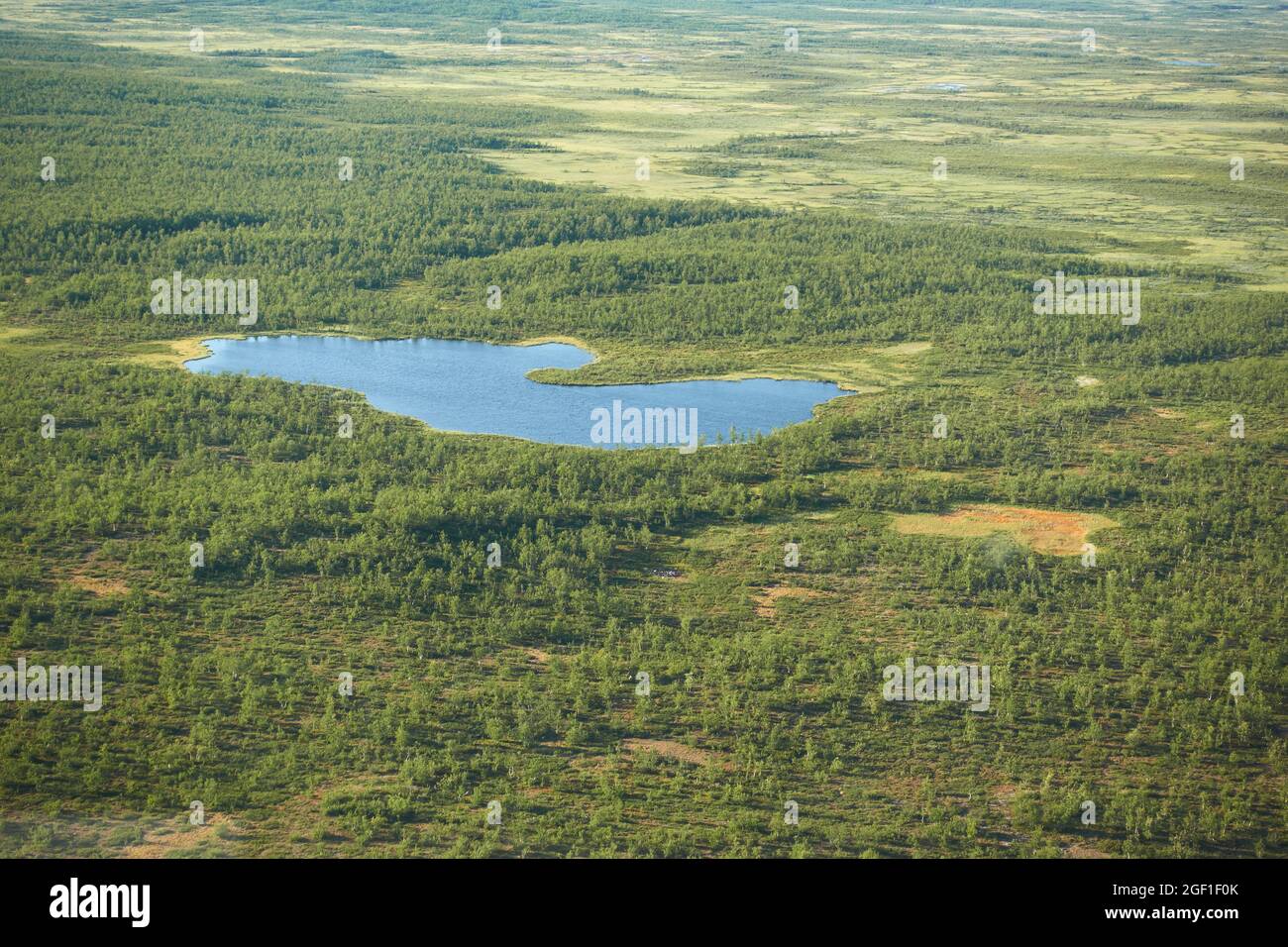 Vue d'Eyriel à Kiruna sauvage depuis un hélicoptère avec petit lac ou étang au milieu des marécages et des arbres à l'extrême nord de la Laponie suédoise. Banque D'Images