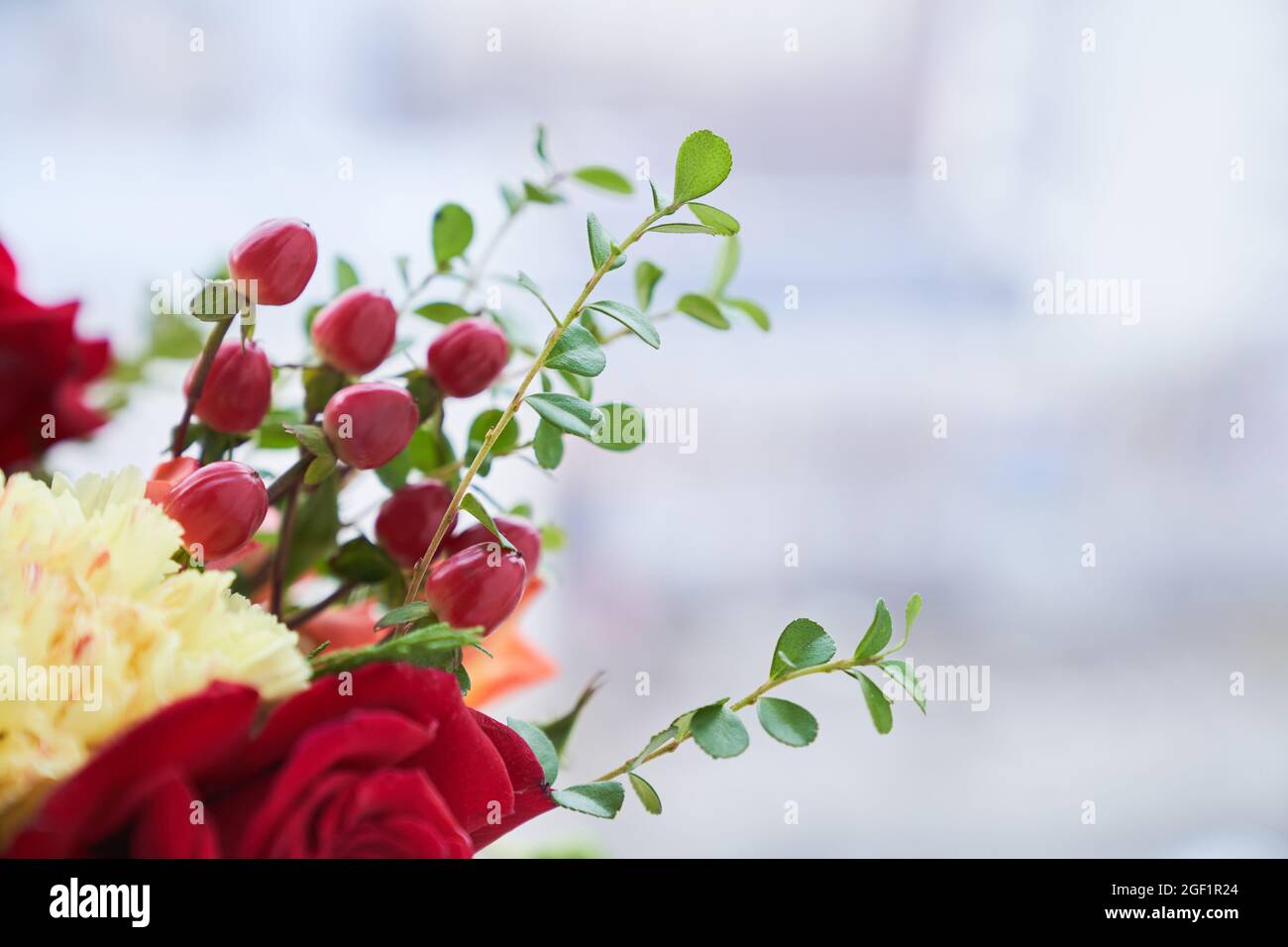 Partie du bouquet avec le bord des baies de barberge, feuilles vertes, rose rouge. Le concept des vacances. Copier l'espace. Photo de haute qualité Banque D'Images