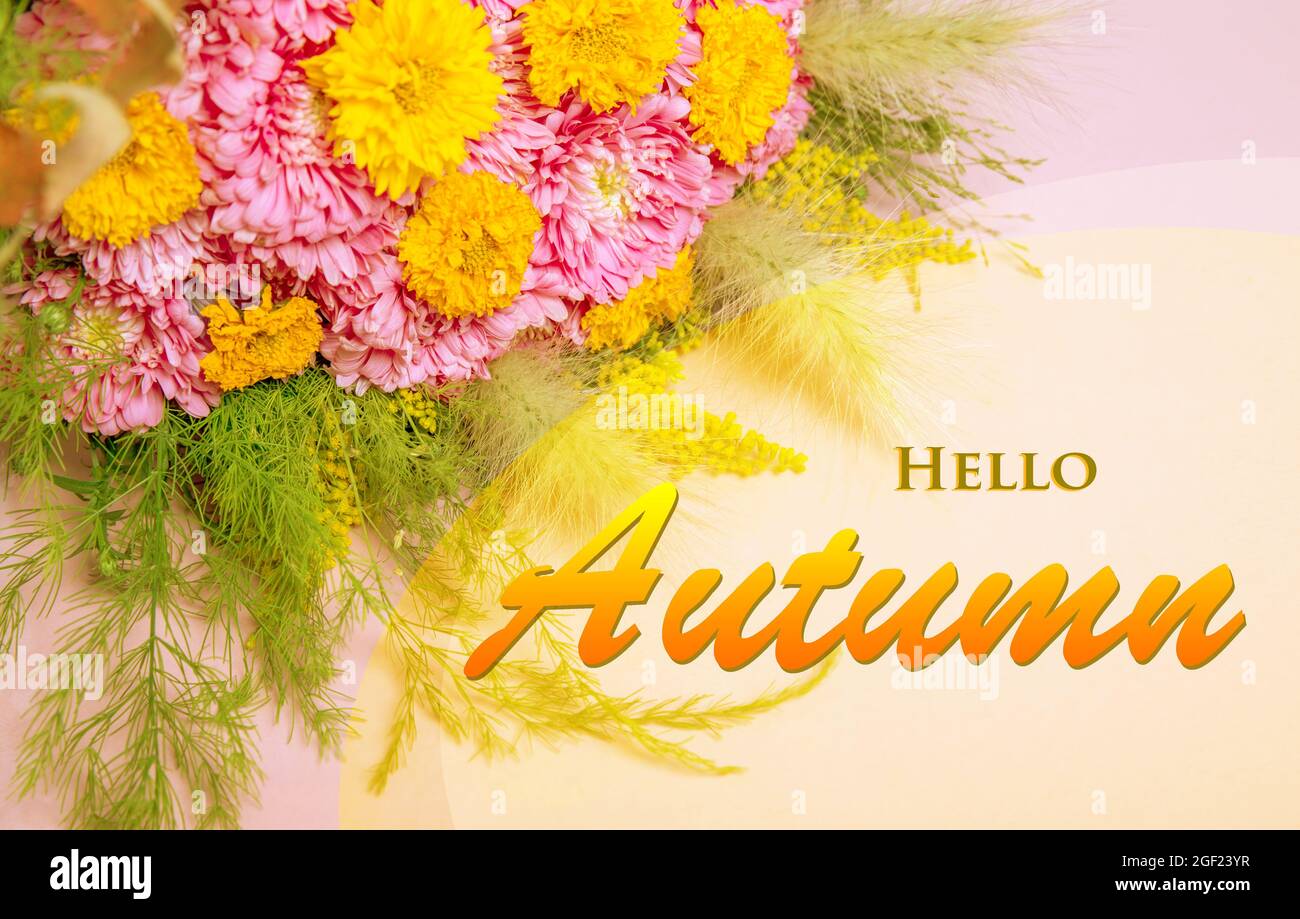Papier peint Hello Autumn, fond d'écran automnal avec fleurs roses jaunes Banque D'Images