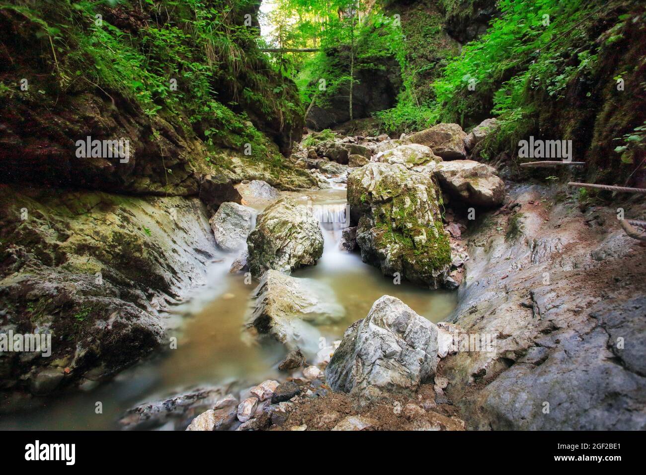 Canyon en Slovaquie, Muranska planina - Certova dolina Banque D'Images