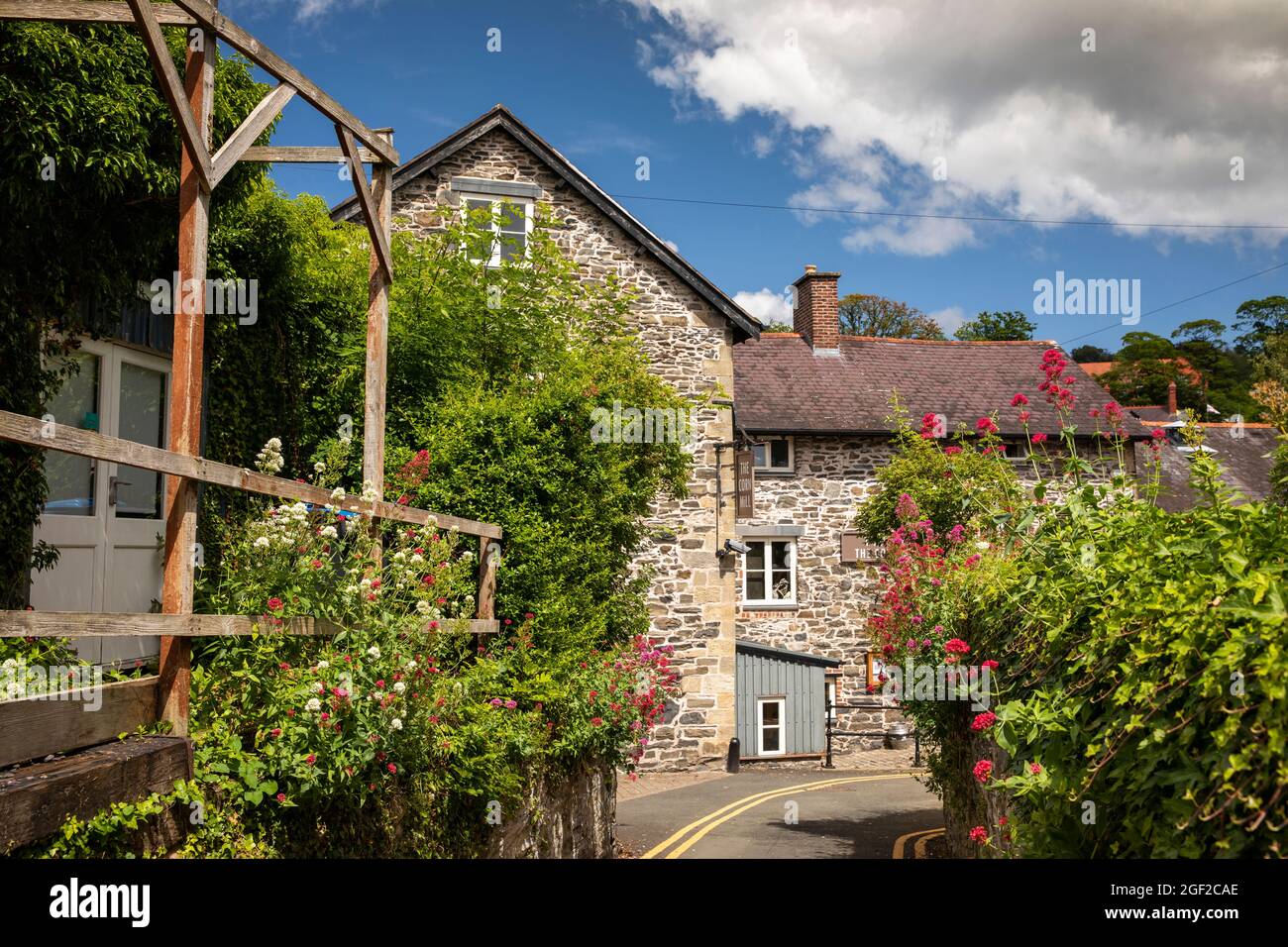 Pays de Galles du Royaume-Uni, Clwyd, Llangollen, Dee Lane, Old Corn Mill, (Melin yd) café au-delà des fleurs valériennes dans la voie Banque D'Images