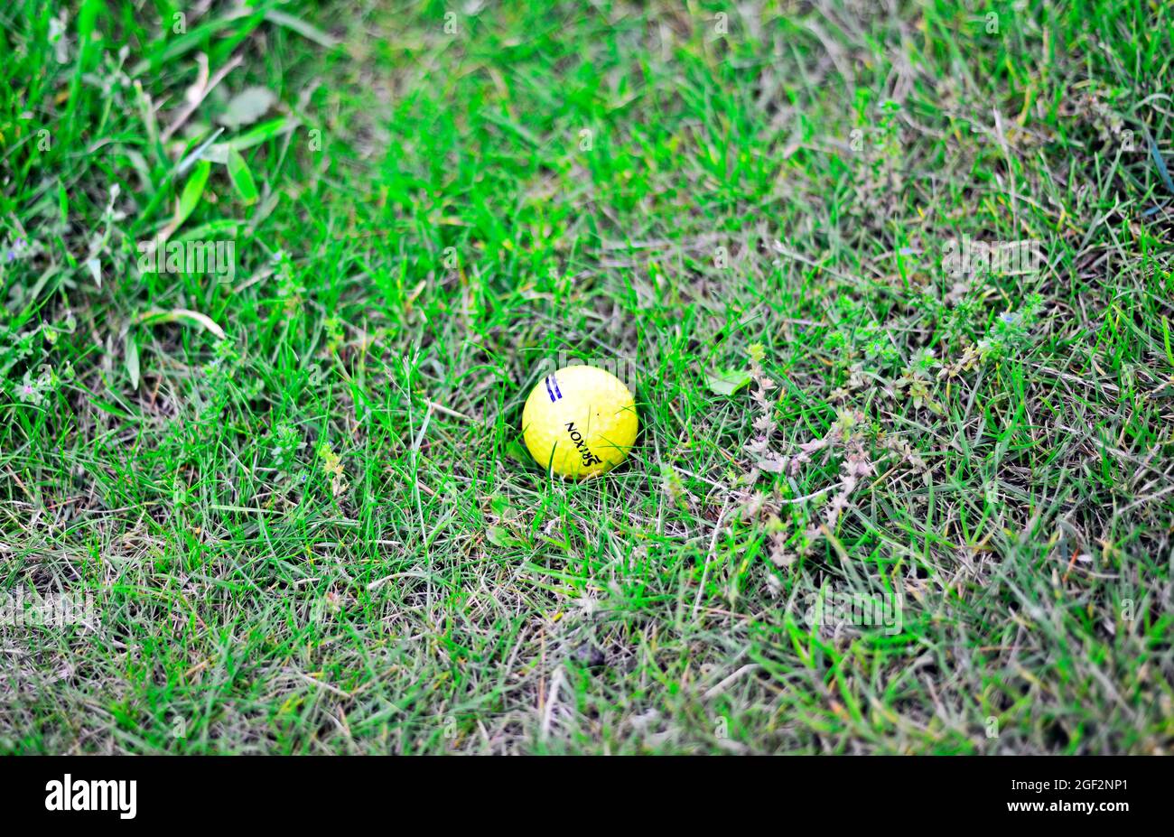 Ballon de golf perdu sur le parcours Banque D'Images