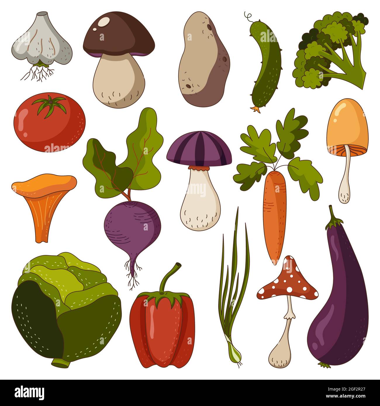 Ensemble emblématique de légumes et champignons crus d'automne dans un style plat isolé sur un fond blanc. Illustration de Vecteur