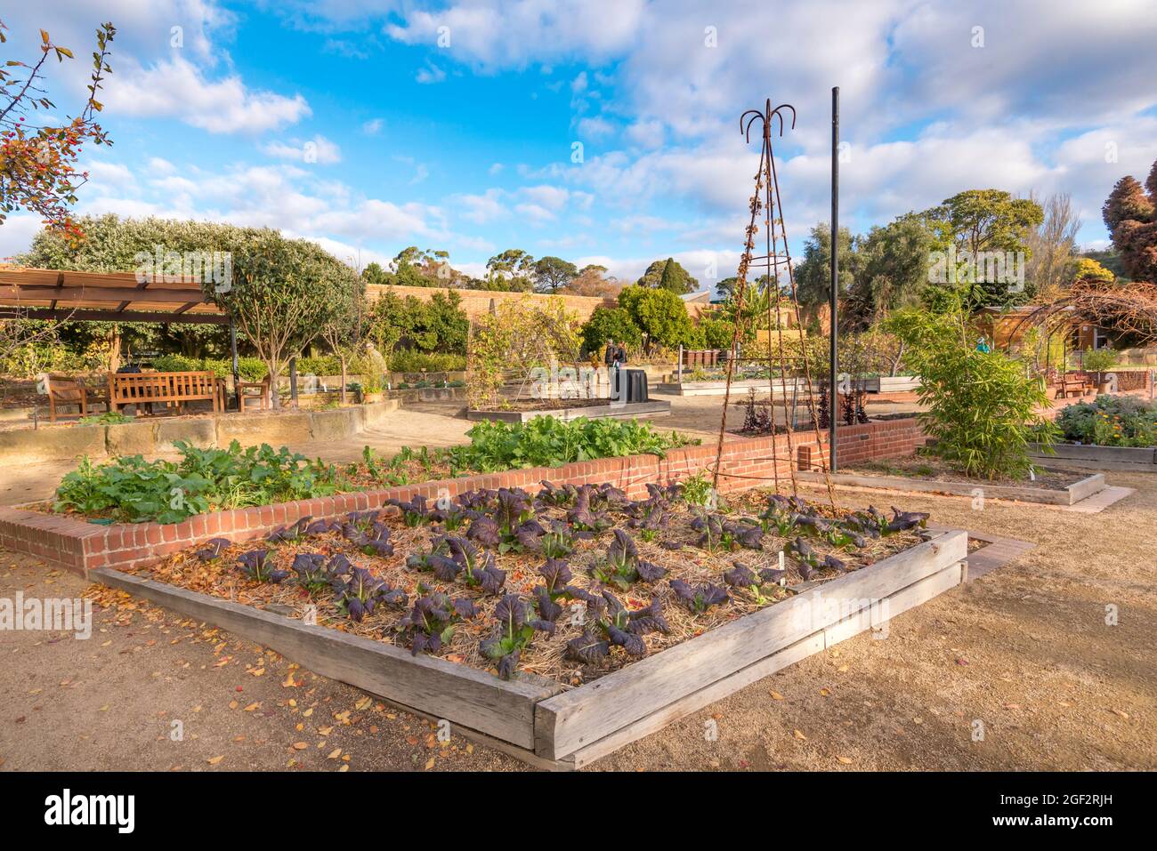 Célèbre pour son émission télévisée Gardening Australia, le potager Patch dans les jardins botaniques de Hobart soutient également des œuvres caritatives Banque D'Images