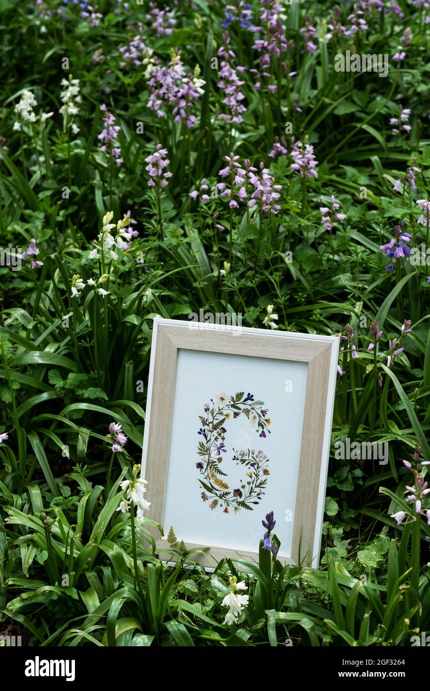 Gros plan de la lettre florale « G » dans un cadre en bois pour une cérémonie de dénomination des bois. Banque D'Images