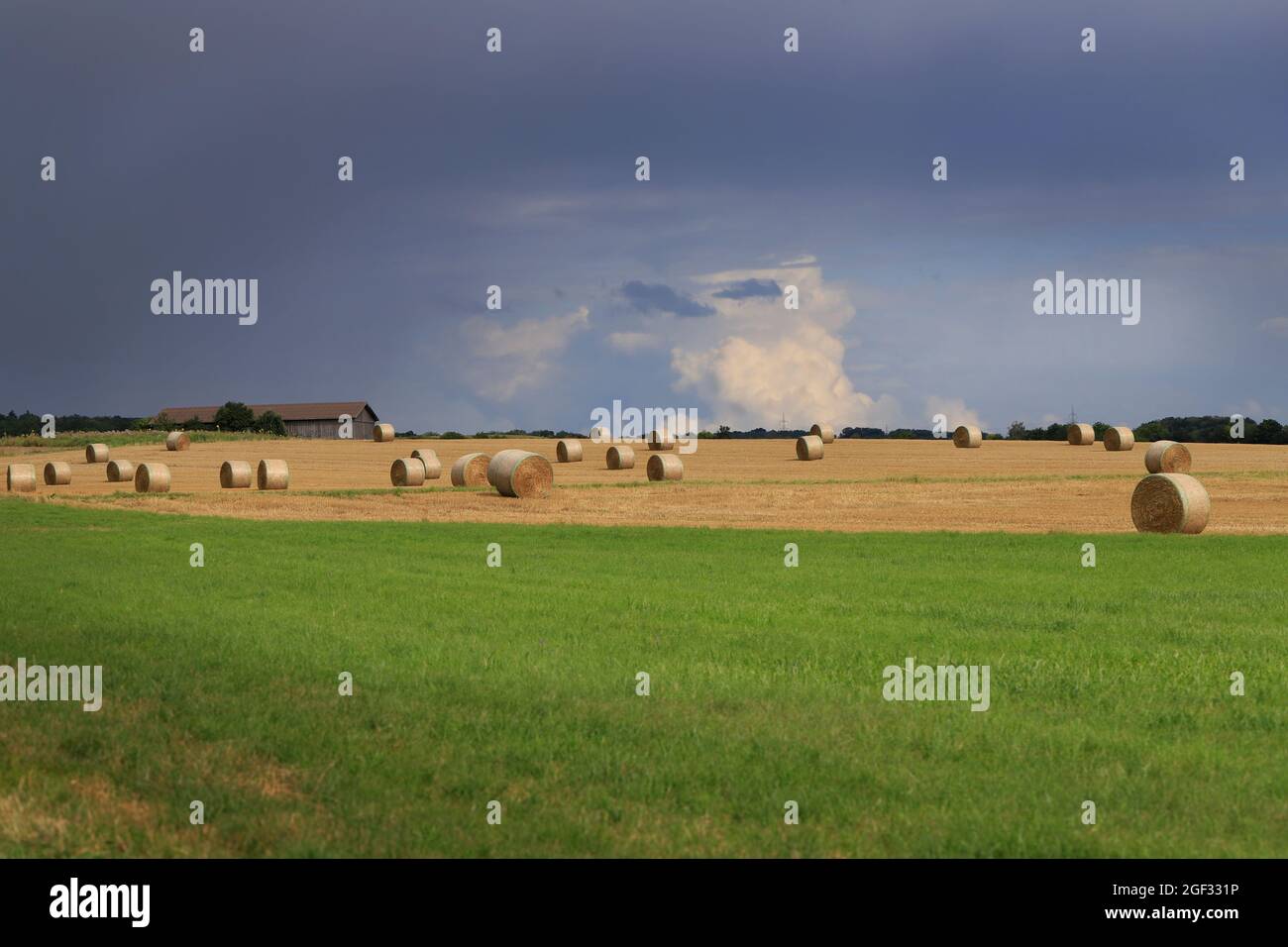 Runde Strohballen liegen an einem heißen Augusttag zum Trocknen auf einem abgeernteten Feld à Hohenhaslach, Bade-Wurtemberg, Allemagne Banque D'Images