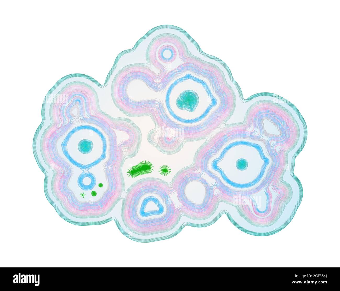 L'ARN du virus envahit UNE cellule et se cape pour se cacher à l'intérieur de la membrane intracellulaire et créer des copies Banque D'Images