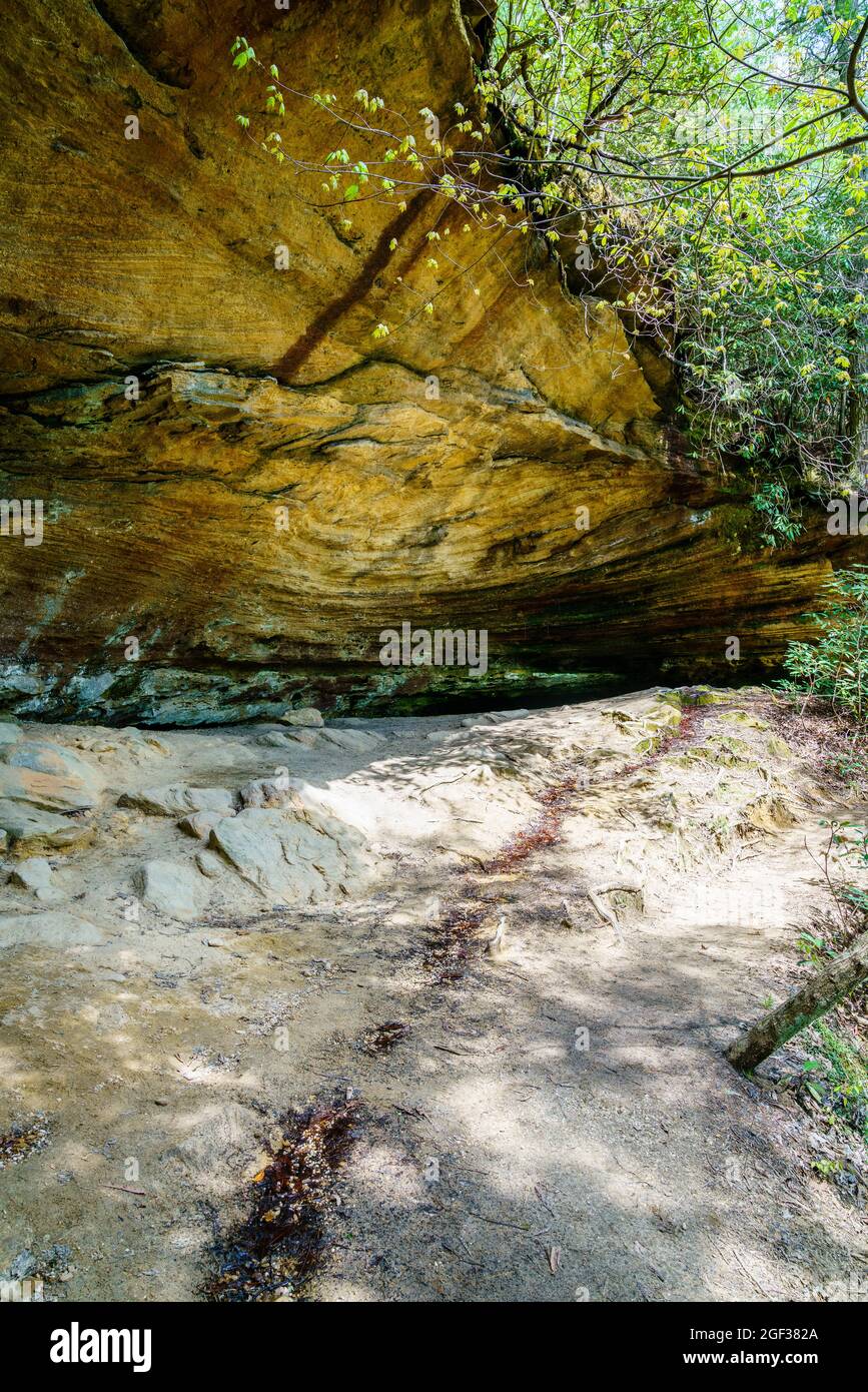 Formations de grès trouvées dans la gorge de la rivière Rouge dans le Kentucky Banque D'Images