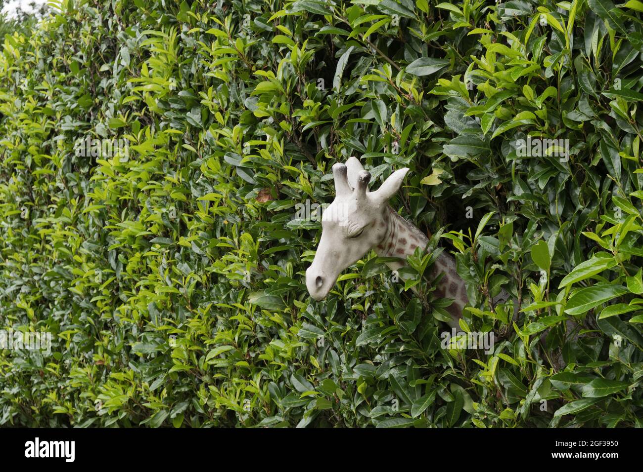 Des animaux modèles ornent l'avant d'une maison résidentielle à Kenley Surrey, en Angleterre Banque D'Images